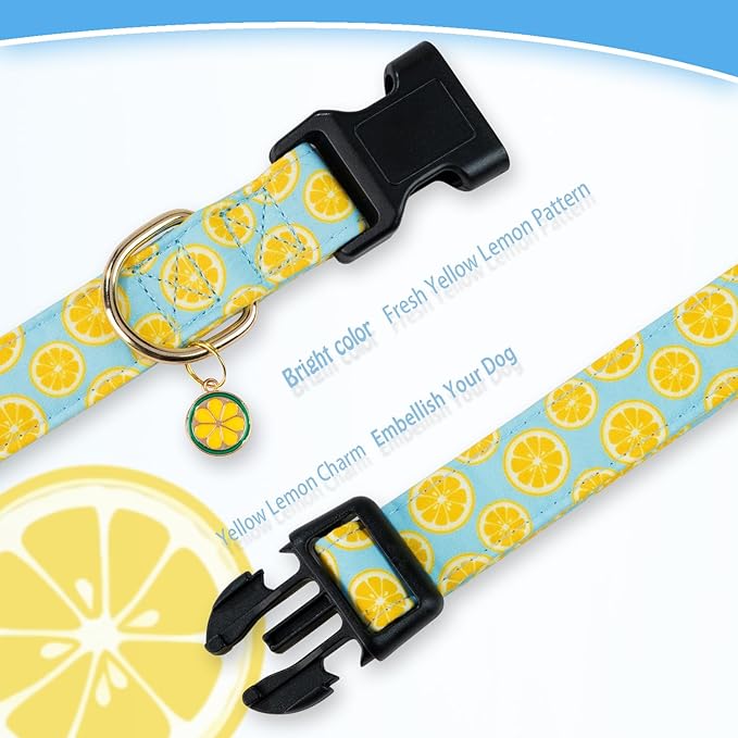 Cute Cotton Dog Collar for Boy and Girl Dogs Summer Lemon Pattern Puppy Collar for Small Medium Large Dogs Adjustable Lemon Pattern Soft Pet Collar for Male Female Dogs