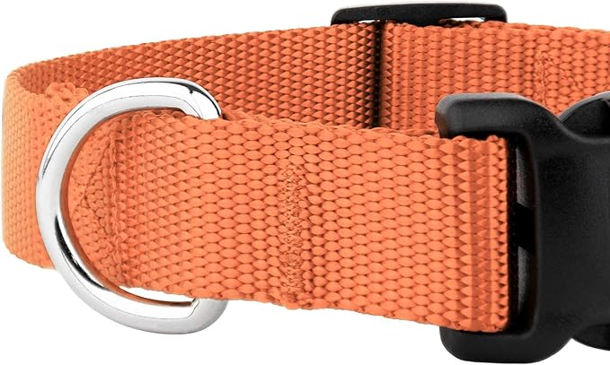 Country Brook Petz - American-Made Dog Collar for Large, Medium, and Small Dogs and Puppies - Deluxe Heavy Duty Nylon in 33 Dazzling Colors (Small, 3/4 Inch Wide, Coral)