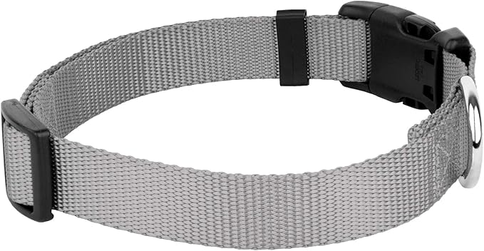 Country Brook Petz - American-Made Dog Collar for Large, Medium, and Small Dogs and Puppies - Deluxe Heavy Duty Nylon in 33 Dazzling Colors (3XS, 3/8 Inch Wide, Silver)