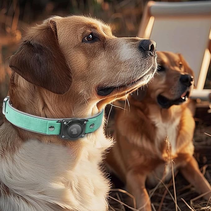 AirTag Dog Collar - Leather Dog Collar with Air Tag Holder | IPX8 Waterproof, Reflective, High - End, Adjustable Soft Padded | Dog GPS Tracker Collars Fit for Medium Large Dogs (Teal, XL)