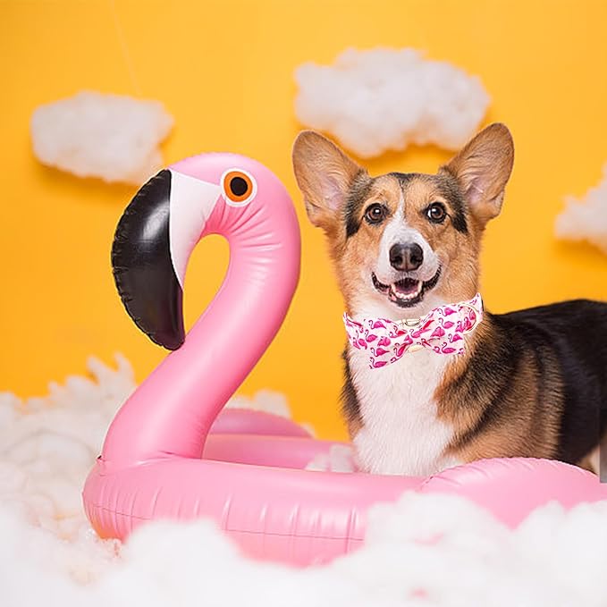 Elegant Little Tail Pink Flamingos Medium Dog Collar with Bow, Cotton, Unique Design, Durable Construction, Romantic Bow, Size M (1"W x 13.5"-22"L), Pink