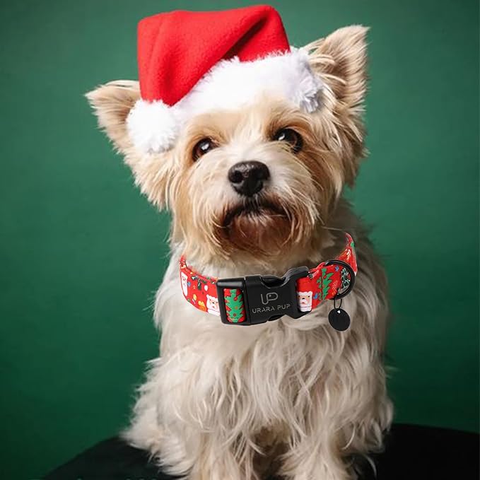 Christmas Santa Claus Dog Collar, Cute Santa Claus Christmas Collar for Puppy Girl Boy Dog, Adjustable Red Dog Collar with Quick Release, Cute Pet Collar