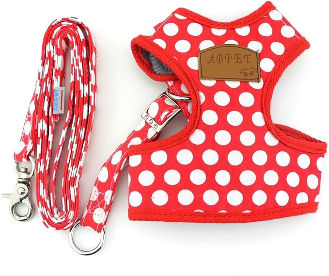 SMALLLEE_LUCKY_STORE New Soft Mesh Nylon Vest Pet Cat Small Medium Dog Harness Dog Leash Set Leads Red, M Chest:11.5"-15.5",Weight 6.5-11lbs (CWYP00068-Red-M)