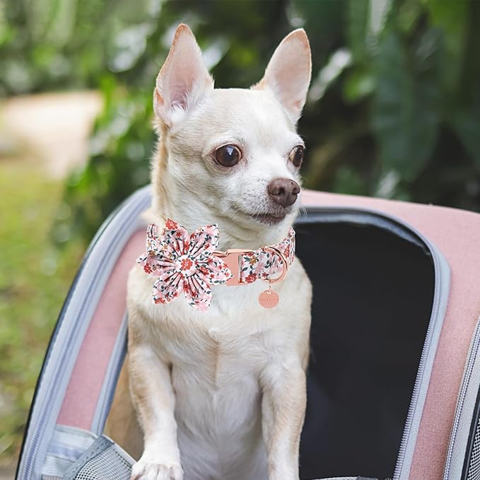 Cute Flower Dog Bowtie Collar, Detachable Flower Bow Puppy Collar with Metal Buckle for Dogs, Medium, Pink