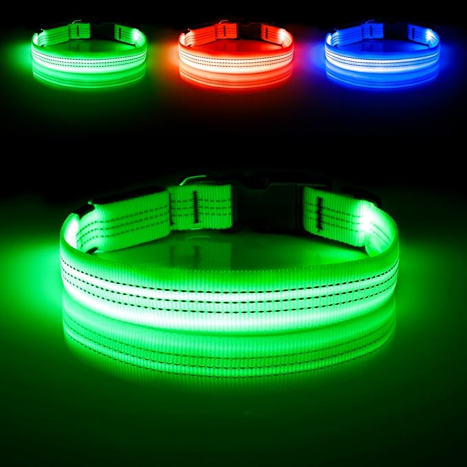 Illumifun Light Up Dog Collar, USB Rechargeable LED Dog Collar, Reflective Flash Pet Lighted Collar for Nighttime Walking (Greenā
¢, Large)