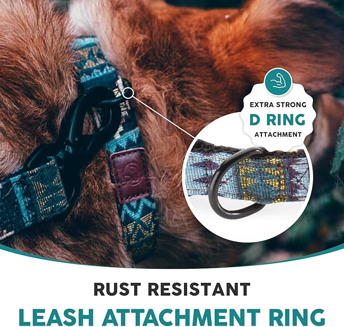 Embark Urban Dog Collar – Stylish & Durable Nylon Dog Collar, Medium Sized Dog with Strong Buckles. Adjustable for Medium Dog