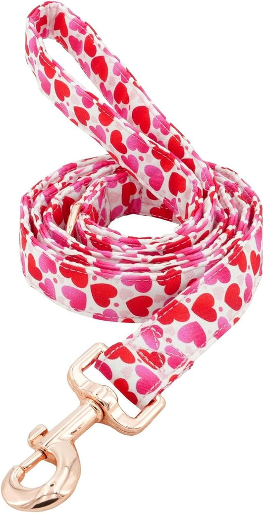 Tunkoo Valentine's Day Dog Leash with Metal Buckle - Durable, Stylish, and Perfectly Sized for Fall Season Daily Walking L