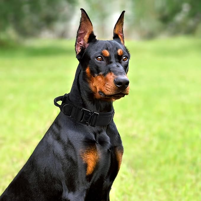 Tactical Dog Collar Set, Adjustable Military Training Nylon Dog Collar with Control Handle and Heavy Quick-Release Metal Buckle for Small Medium Large Dogs, Black Set M