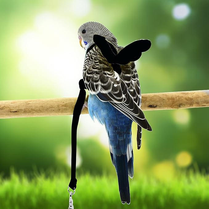 Budgerigar Harness and Leash, Adjustable Parrot Bird Training Design Anti-Bite, Bird Nylon Rope with Cute Wing for Budgerigar and Same Size Birds (S, Black)