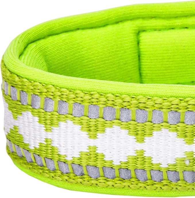 Blueberry Pet Soft & Safe 3M Reflective Jacquard Neoprene Padded Adjustable Dog Collar with Metal Buckle - Macaw Green, Neck 13-16.5", for Medium Breed