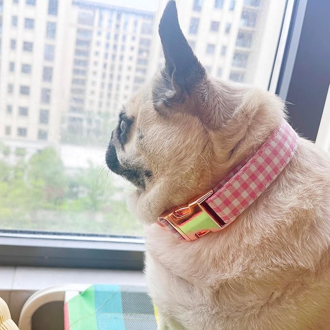 Metal Buckle Dog Collar, Durable Adjustable Dog Collar Soft for Small Medium Large Dogs (Pink Plaid, S(10-14in)