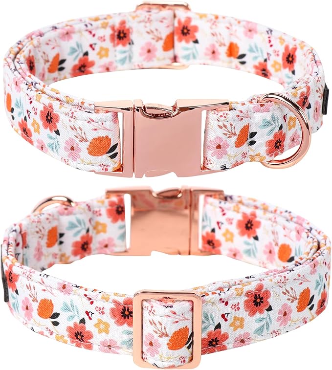 Lionet Paws Dog Collar, Adjustable Cute Collar with Metal Buckle for Male Female Puppies,Summer Flower, Medium, Neck 13.5-22 inches