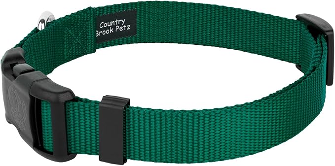 Country Brook Petz - American-Made Dog Collar for Large, Medium, and Small Dogs and Puppies - Deluxe Heavy Duty Nylon in 33 Dazzling Colors (2XS, 3/8 Inch Wide, Green)