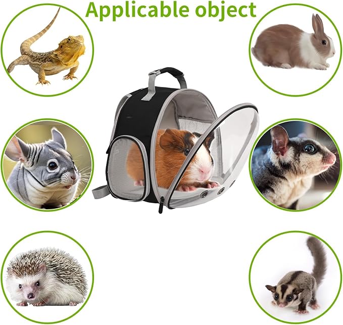 Bearded Dragon Travel Backpack with Harness and Leash Set,Lizard Backpack Travel Carrier,Space Capsule Clear Bubble Window Astronaut Reptile Carrier Backpack for Kids, Airline Approved