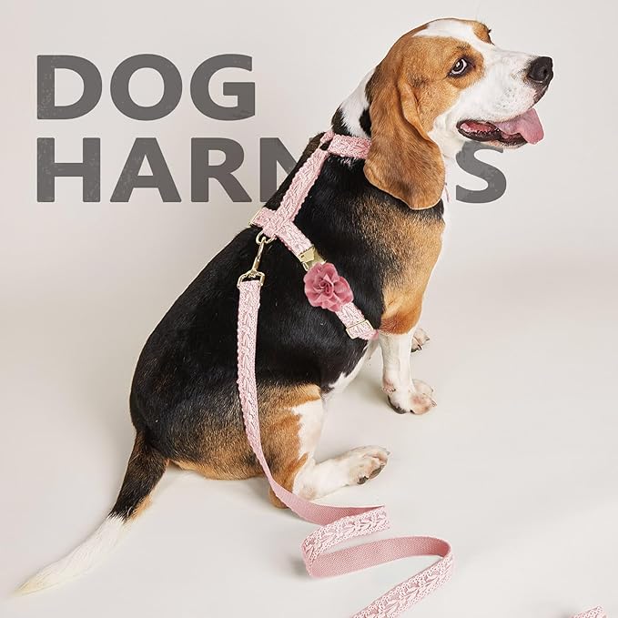 Embroidered Dog Harness and Leash Set for Medium Dogs Adjustable Cotton Lace Handmade 4-5 FT Leash with Bowknot Flower Gift for Female Dog M