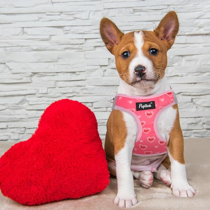 PUPTECK Dog Harness and Leash Set for Small Medium Dogs No Pull Step-in Soft Mesh Puppy Cat Vest Harnesses Reflective at Night Valentine, Light Pink, S