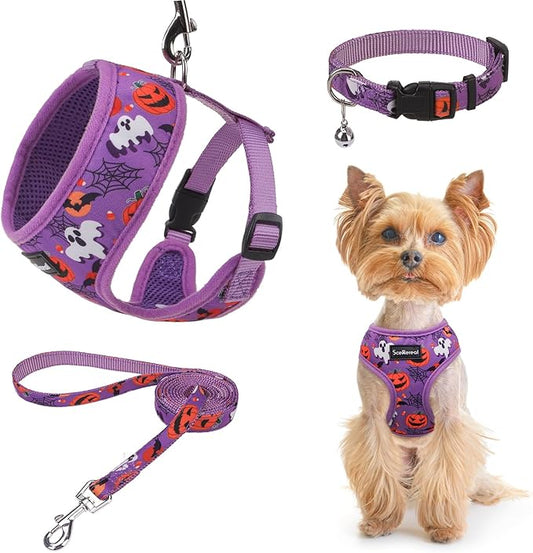 SCENEREAL Small Dog Harness Collar and Leash Set, Adjustable No Pull Pet Harnesses, No Chock Soft Mesh Step in Vest Halloween Costume for Doggie Puppy Dogs Cats Girl Boy Outdoor Walking