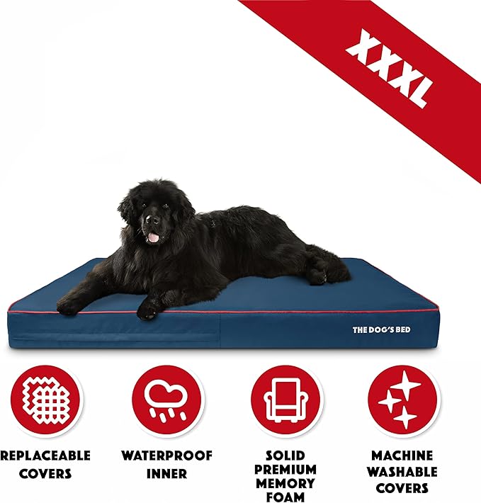 The Dog’s Bed Orthopedic Memory Foam Dog Bed, XXXL Blue/Red 64x44, Pain Relief for Arthritis, Hip & Elbow Dysplasia, Post Surgery, Lameness, Supportive, Calming, Waterproof Washable Cover