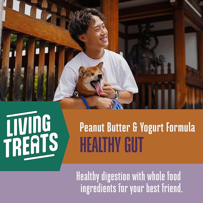 Whole Life Dog Living Treats for Dogs – Human Grade Probiotics for Digestive & Gut Health, Gas, Diarrhea, Vomit & Constipation Relief, Health Supplies - Peanut Butter, 12 oz (Pack of 1)