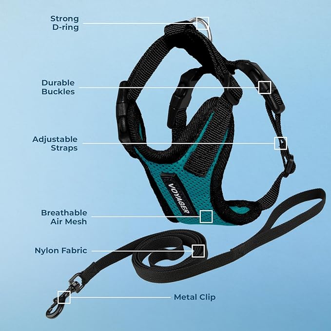 Voyager Step-in Lock Adjustable Cat Harness w. Cat Leash Combo Set with Neoprene Handle 5ft - Supports Small, Medium and Large Breed Cats by Best Pet Supplies - Turquoise/Black Trim, XXS