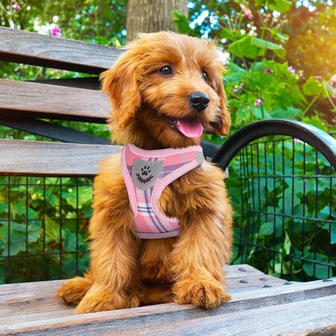 PUPTECK Adjustable Dog Harness Collar and Leash Set Step in No Pull Pet Harness for Small Medium Dogs Puppy and Cats Outdoor Walking Running, Soft Mesh Padded Reflective Vest Harnesses, Pink XL