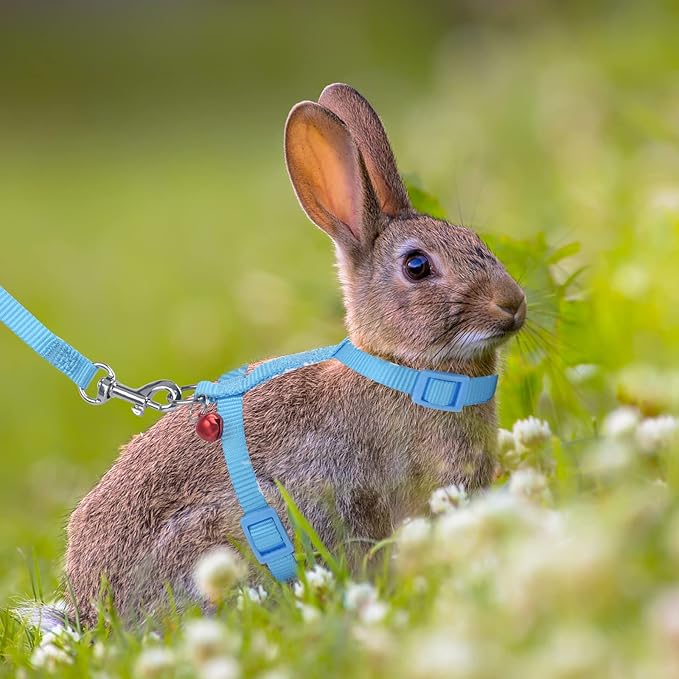 2 Pack Rabbit Harness Leash - Persuper Bunny Cat Leash Adjustable Soft Nylon Small Animal Harness Set for Walking Running Outdoor Use with Safe Bell for Puppy Dog, Pig, Kitten, Ferret, Mini Pet