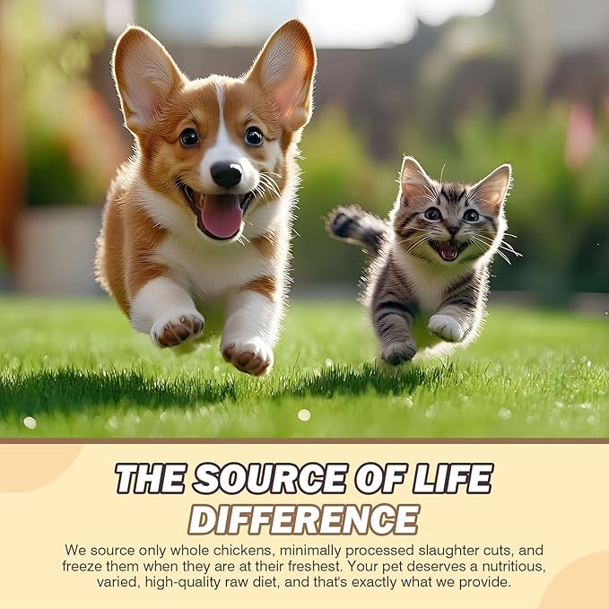 Freeze Dried Chicken,Freeze Dried Chicken Dog Treats Natural No Additives,Single Ingredient,High Protein,Suitable for All Ages Cats and Dogs,Dehydrated Suitable for Training