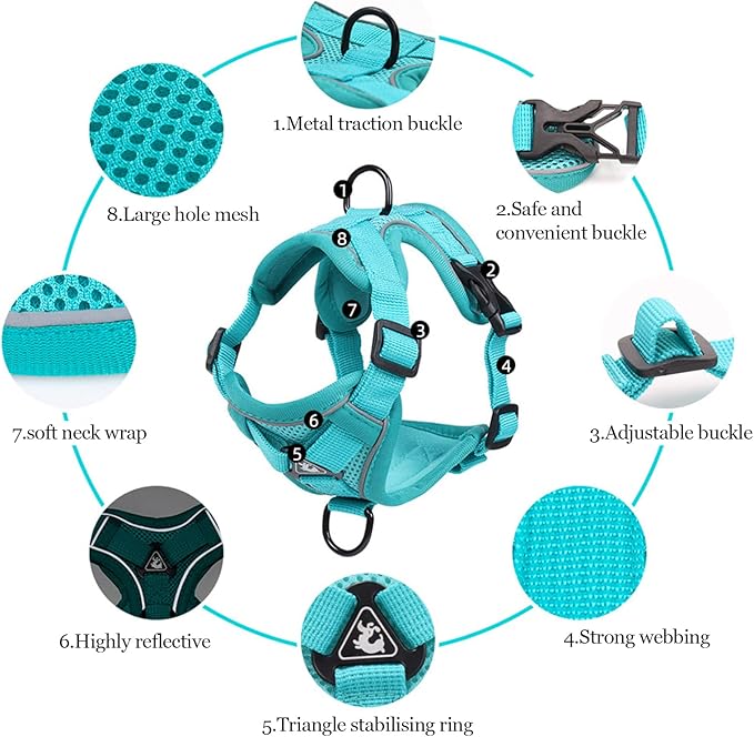 Summer cat Chest Harness and Leash, Anti-Escape Adjustable Soft mesh cat Leash and Chest Harness Set for All Types of Cats cat Vests (Emerald, L)