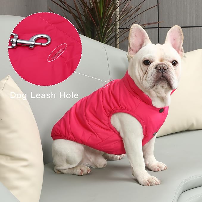 2 Layers Fleece Lined Warm Dog Jacket for Puppy Winter Cold Weather,Soft Windproof Small Dog Coat,Pink XS