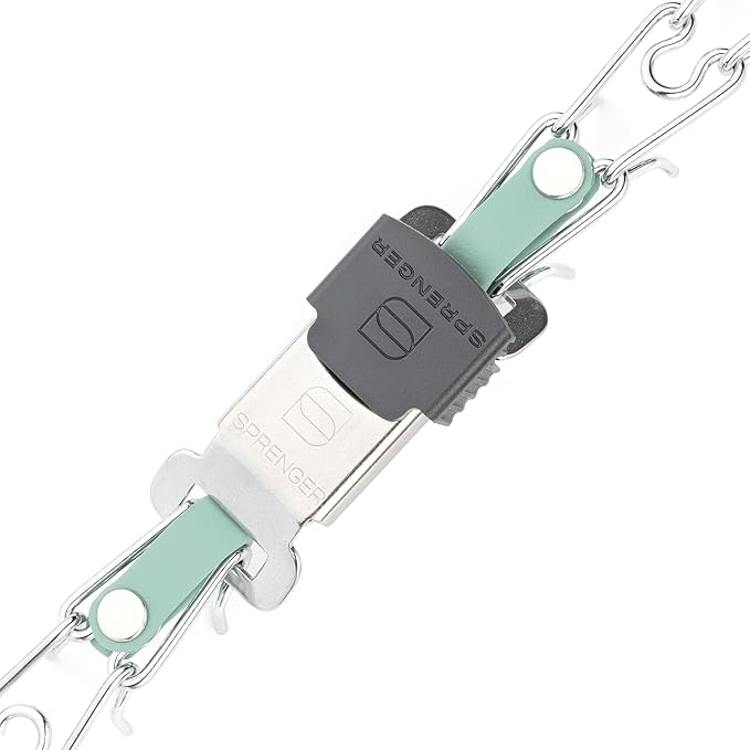 Herm Sprenger Chrome Plated Steel Dog Collar with Quick Release ClicLock Buckle and Biothane Insert Training Collar for Dogs Made in Germany (Sage Green, 16in x 2.25mm(Neck Size up to 13-14in))