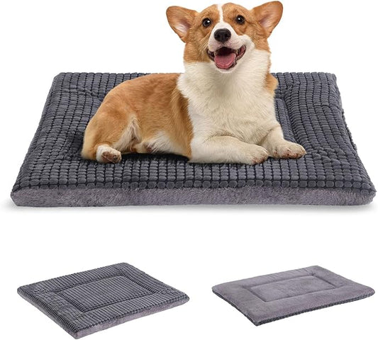 BVAGSS Dog Bed Mat,Reversible Dog Crate Pad, Memory Foam Soft Warm Pet Cushion for Small Medium Dogs, Washable Pet Sleeping Mattress Kennel Pad XH079 (30''x20''x1.6'',Light Grey)