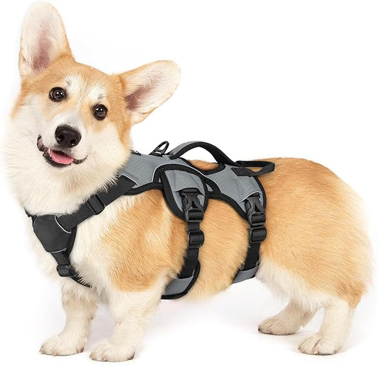 rabbitgoo Escape Proof Dog Harness, Soft Padded Full Body Pet Harness, Reflective Adjustable No Pull Vest with Lift Handle and Leash Clip for Large Dogs Walking Hiking Training, S, Grey