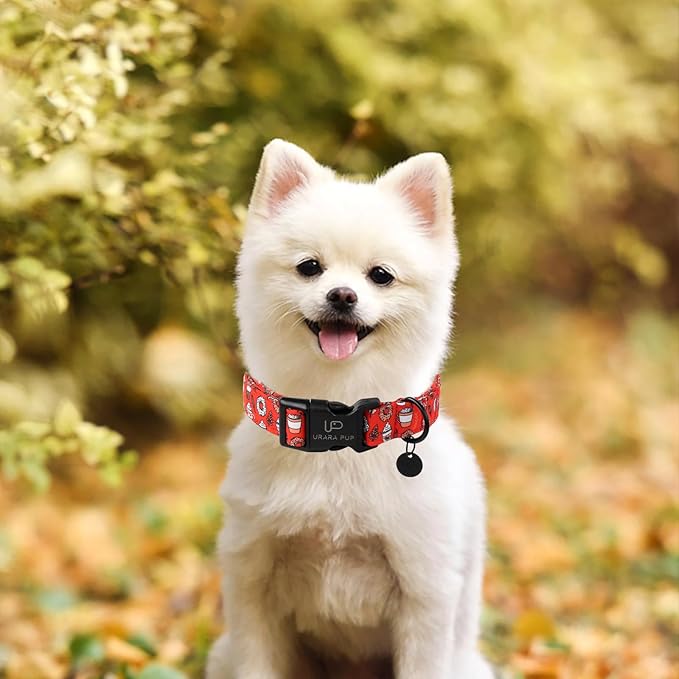 Fall Cotton Dog Collar with Plastic Buckle, Cute Doughnut Autumn Puppy Collar, Adjustable&Lightweight Pet Collar for Small Medium Large Girls or Boys