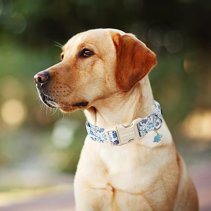 ARING PET Dinosaur Dog Collar-Cute Dog Collar for Small Dogs, Adjustable Dinosaur Print Pet Collars Puppy Collar for Small Medium Large Dogs