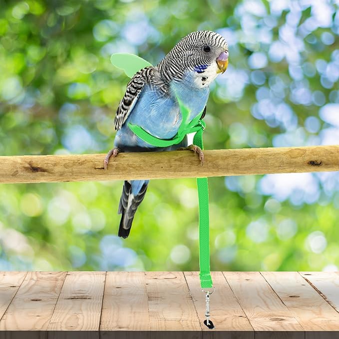 Dnoifne Pet Parrot Bird Harness and Leash, Adjustable Training Design Anti-Bite, Bird Nylon Rope with Cute Wing for Parrots, Suitable for Scarlet, Keck, Mini Macaw and Same Size Birds (Green)