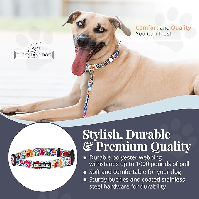 Lucky Love Dog - Adjustable Dog Collar with Easy Click Buckle for Small to Large Ones, Durable, & Comfortable for Male & Female Dogs, Pet Collar for Puppies & Adult Dogs - Ladybird, Medium