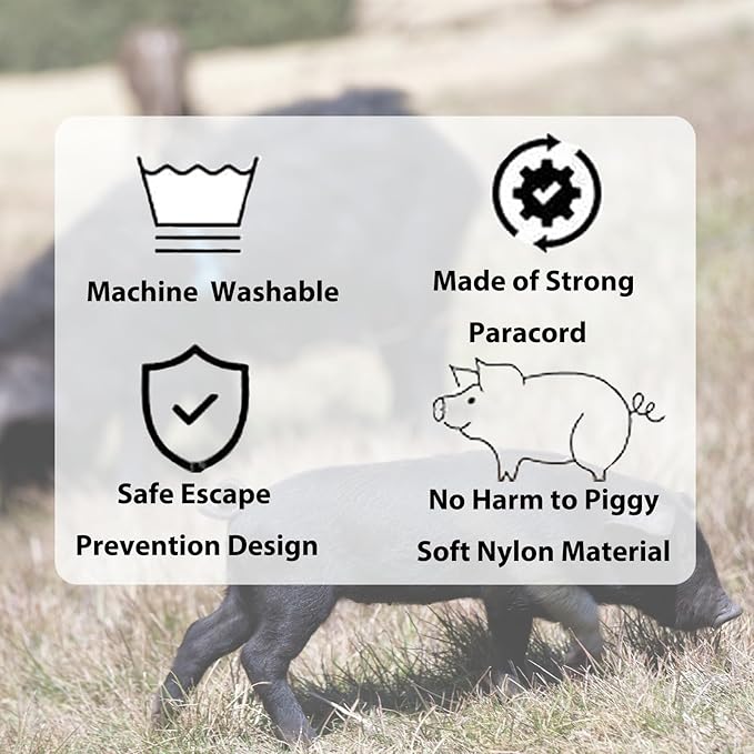 Pig Harness & Leash, Escape Prevention Adjustable Rope, All in One Design, All Life Stages Small to Medium Mini Pigs-5 Feet Long-Grey