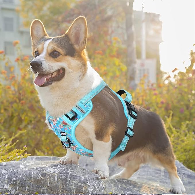 Timos No Pull Dog Harness,NO Need Go Over Dogs Head 3 Snap Buckles Reflective Oxford No Choke Puppy Harness with Front & Back 2 Metal Leash Clips Soft Padded for Small Medium Large Dogs