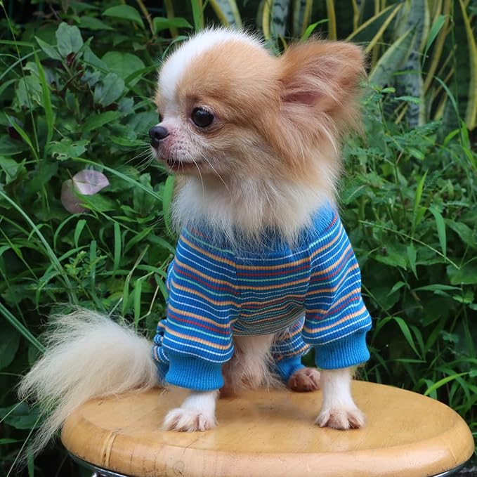 LOPHIPETS Dog Pajama Onesie for Small Bichon Clothes Apparel-Blue/XL
