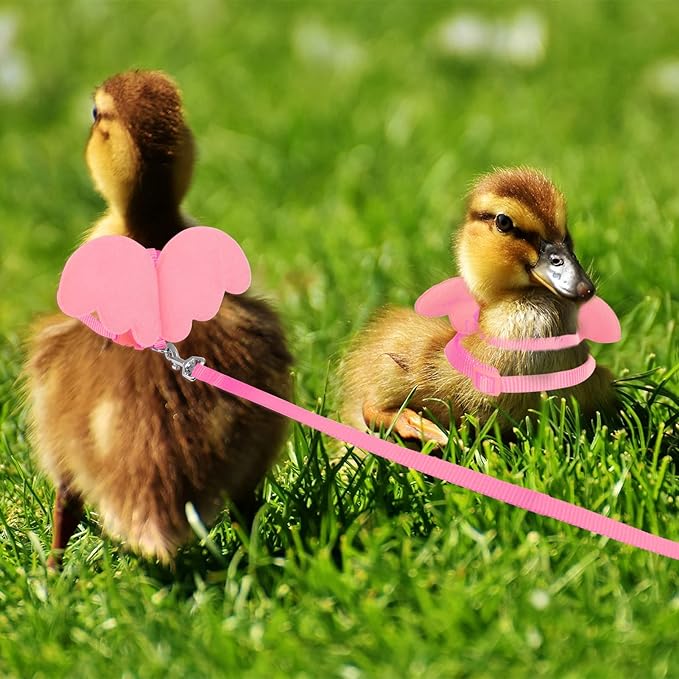 KAMA BRIDAL Duck Walking Harness and Leash Chicken Duck Outdoor Training Rope Adjustable Rope for Pet Poultry Hen Cock (M, Pink)