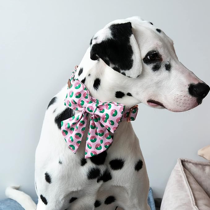 Lionet Paws Summer Dog Collar with Sailor Bow, Soft Comfortable Adjustable Cute Donut Collar for Puppies and Cats, XXS, Neck 7-11 inches