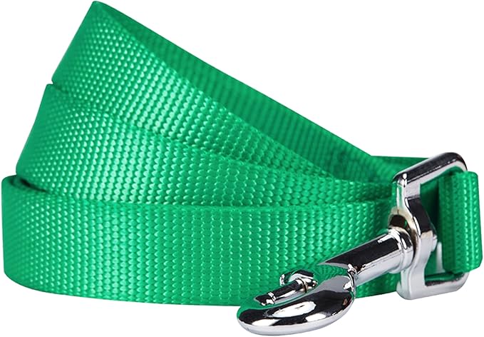 Blueberry Pet Essentials Durable Classic Dog Leash | Basic Nylon Dog Leash | 5ft. x 3/4" Medium Dog Leash | Emerald Dog Leash | Standard Dog Leashes & Lightweight Dog Leash for Training