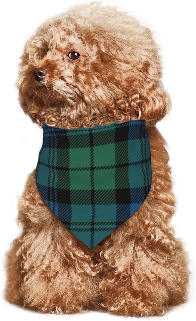 Triangle Plaid Tartan Scottish Clan Campbell Cat & Dog Scarf, Plaid Pet Scarf for Small to Large Dogs & Cats