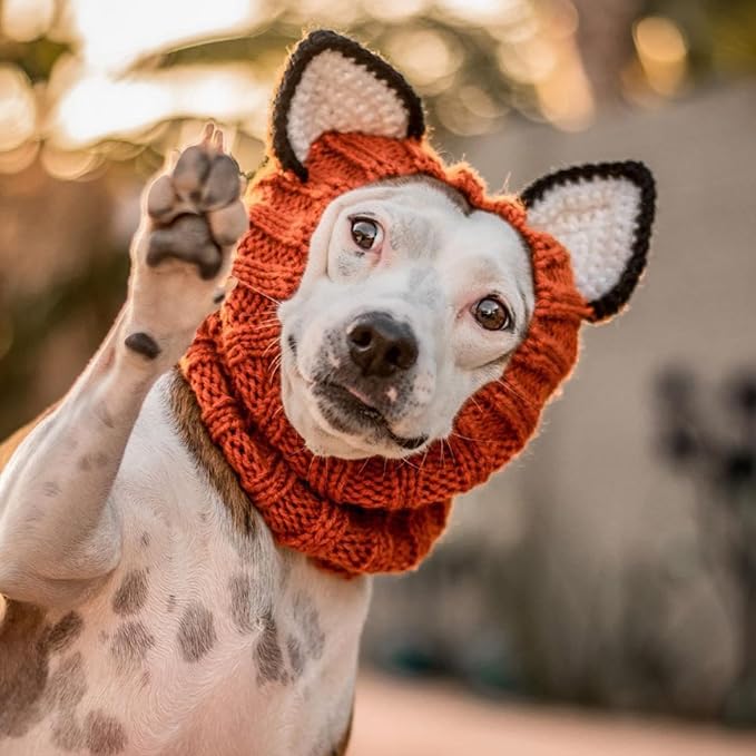 Zoo Snoods Fox Costume - Knit Dog Snood Ear Wrap for Pets, Warm Neck Cover for Halloween and Winter (Small)