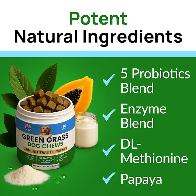 Green Grass Dog Chews w/Probiotics - Prevent Urine Burning Grass - Dog Pee Grass Spot Saver - Dog Urine Neutralizer for Lawn Treats, UT & Gut Health for Dogs, Lawn Burn from Dog Urine