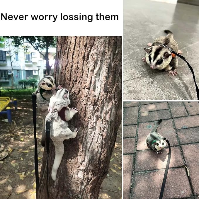 3+1 Sugar Gliders Harness Leash Set with Carrier Carry Carrying Bag Pounch Training Walking Gear Traction Rope Strap Small Animal Leash for Hamster Lizards Dragon Squirrels Rats