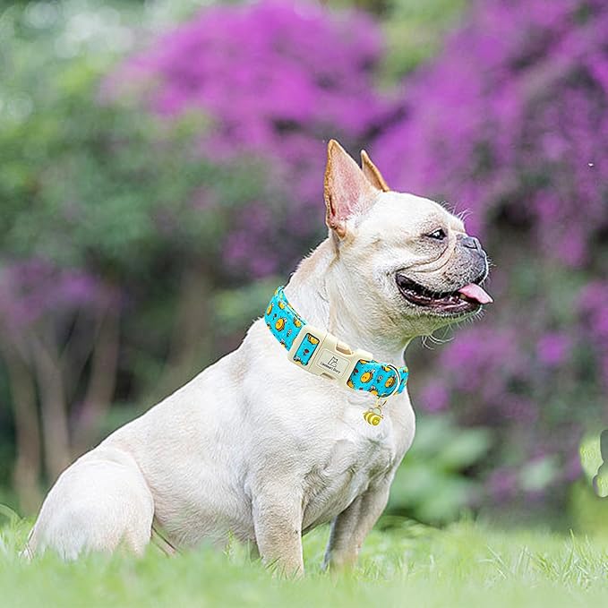 Lionheart glory Dog Collar, Bees Blue Dogs Collar Adjustable Soft Comfortable Collars for Large Dogs Girl or Boy Pet Gift Cute Spring Summer Collar