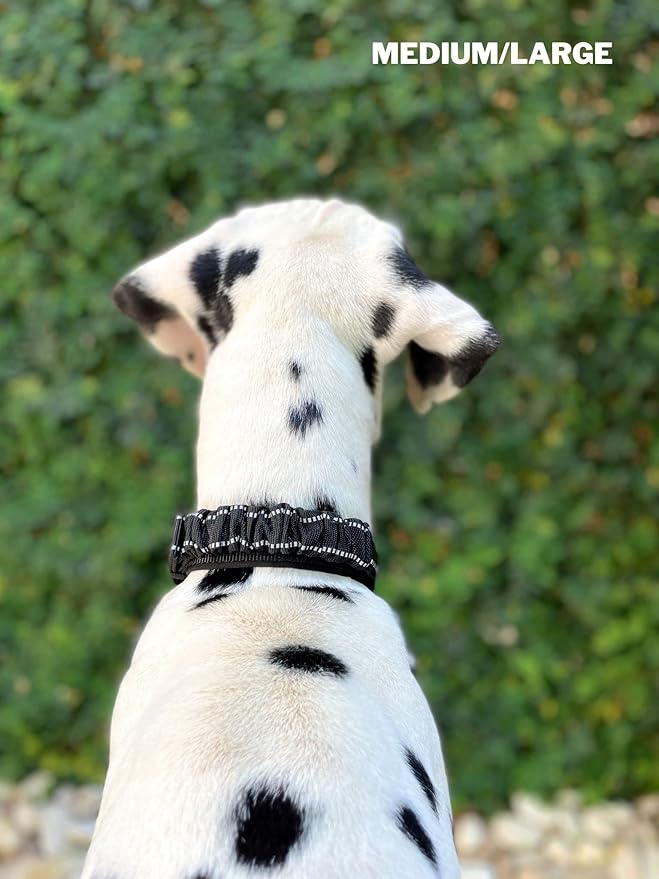 Tuff Pupper Heavy Duty Dog Collar with Handle | Ballistic Nylon Heavy Duty Collar | Padded Reflective Dog Collar with Adjustable Stainless Steel Hardware | Convenient Sizing for All Breeds