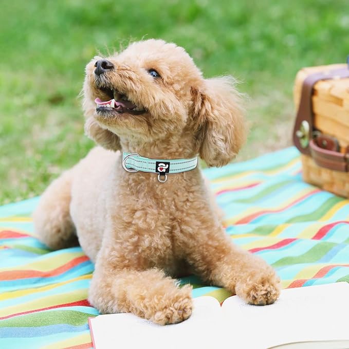 azuza Reflective Dog Collar,Soft Neoprene Padded Pet Collar with ID Tag Ring,Adjustable for Puppy and Small Dogs,Teal,XS