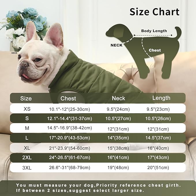 2 Layers Fleece Lined Warm Dog Jacket for Puppy Winter Cold Weather,Soft Windproof Small Dog Coat,Green XS